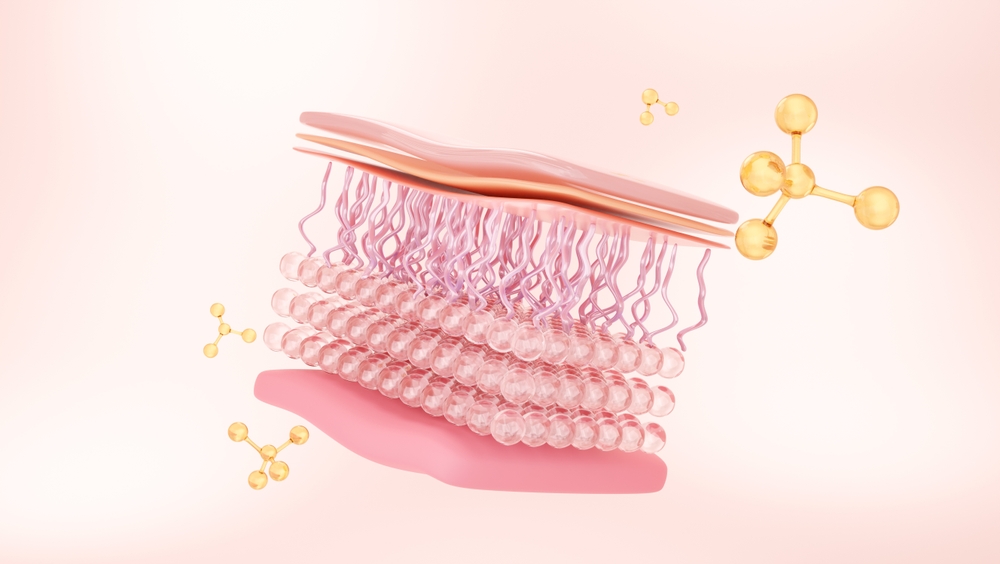 The Role of Collagen, Elastin, and Hydration